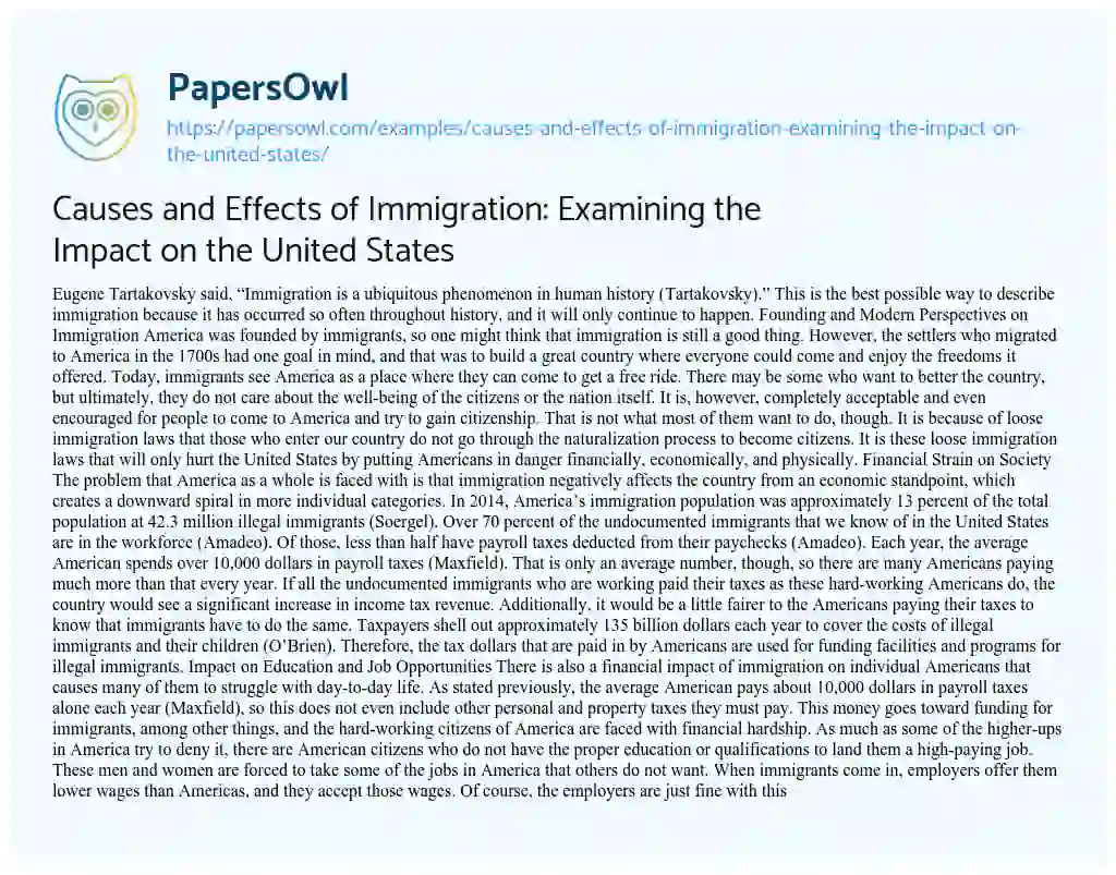 Essay on Causes and Effects of Immigration: Examining the Impact on the United States