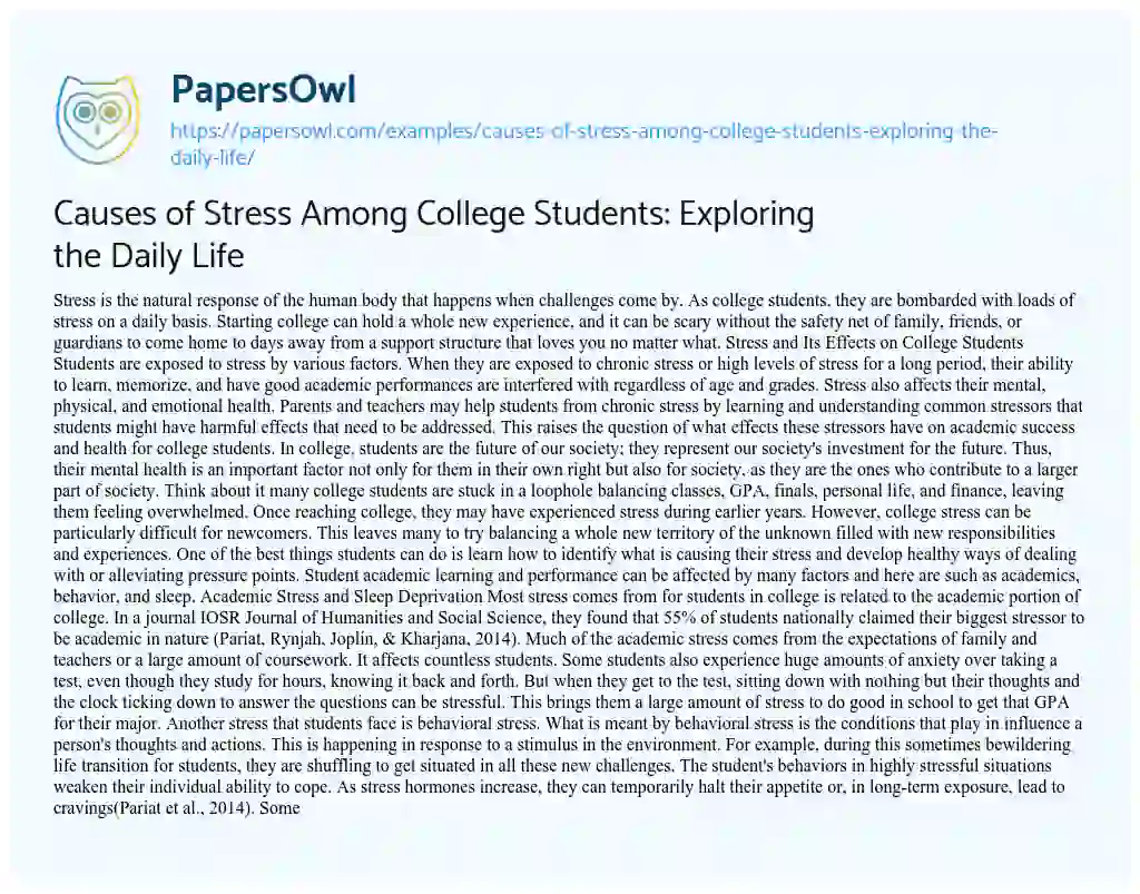 Essay on Causes of Stress Among College Students: Exploring the Daily Life