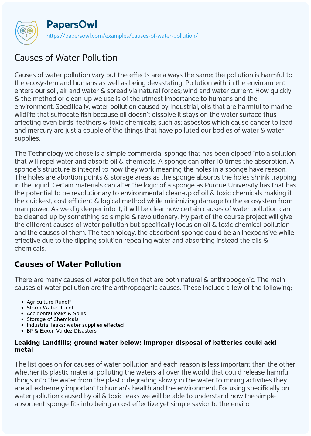 Causes of Water Pollution essay
