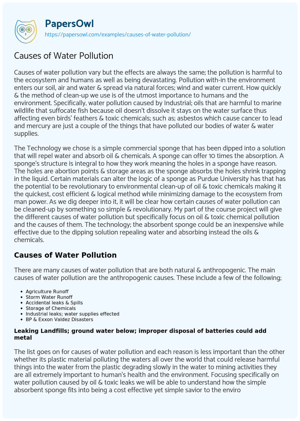 the causes of water pollution essay