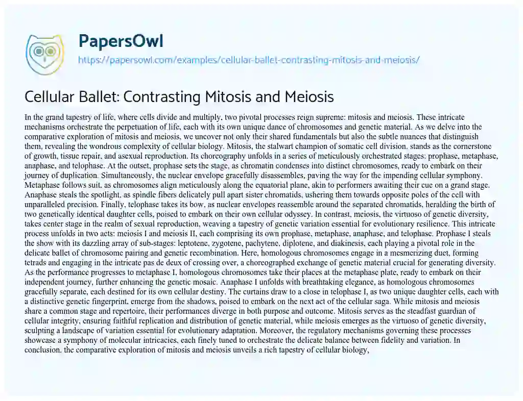 Essay on Cellular Ballet: Contrasting Mitosis and Meiosis