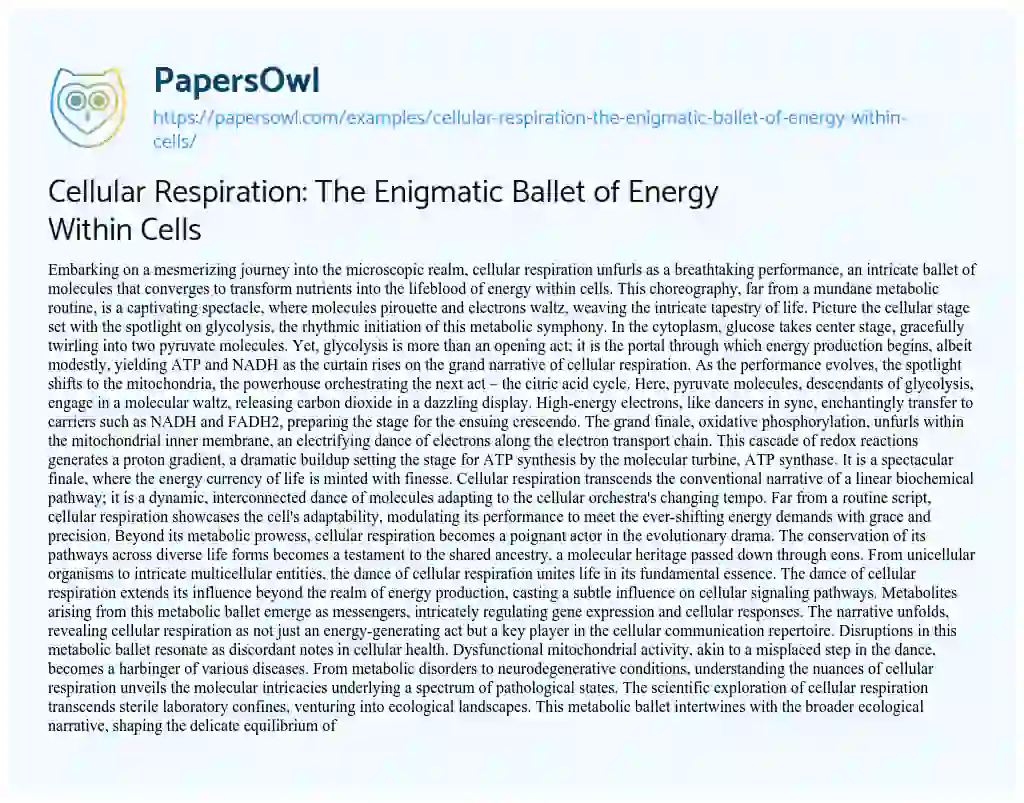 Essay on Cellular Respiration: the Enigmatic Ballet of Energy Within Cells