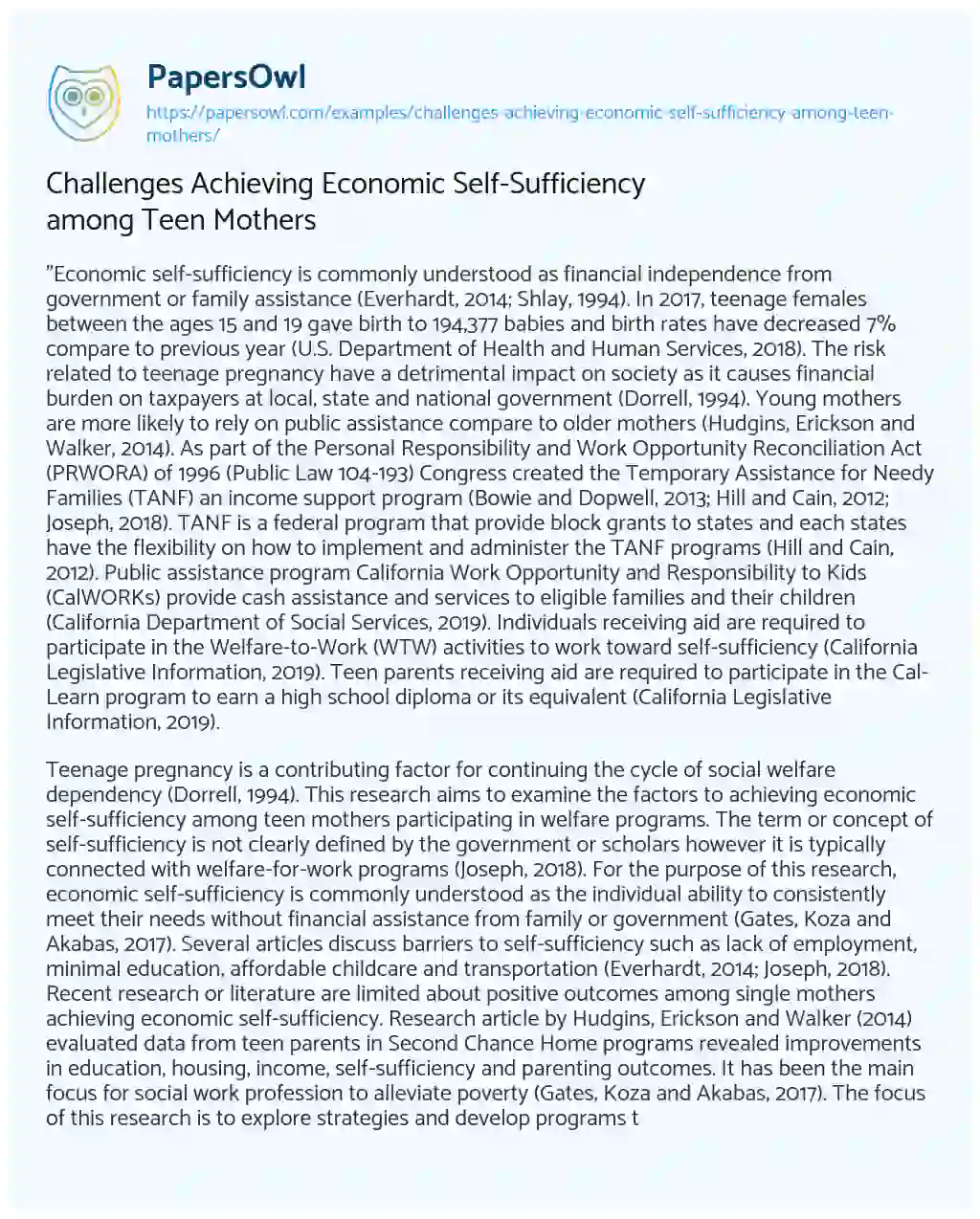 Essay on Challenges Achieving Economic Self-Sufficiency among Teen Mothers