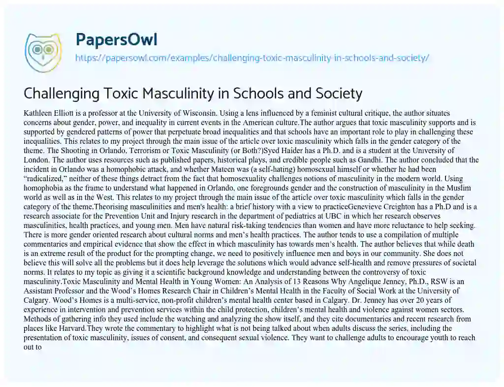 Essay on Challenging Toxic Masculinity in Schools and Society