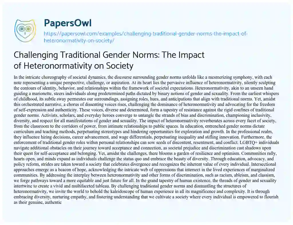 Essay on Challenging Traditional Gender Norms: the Impact of Heteronormativity on Society