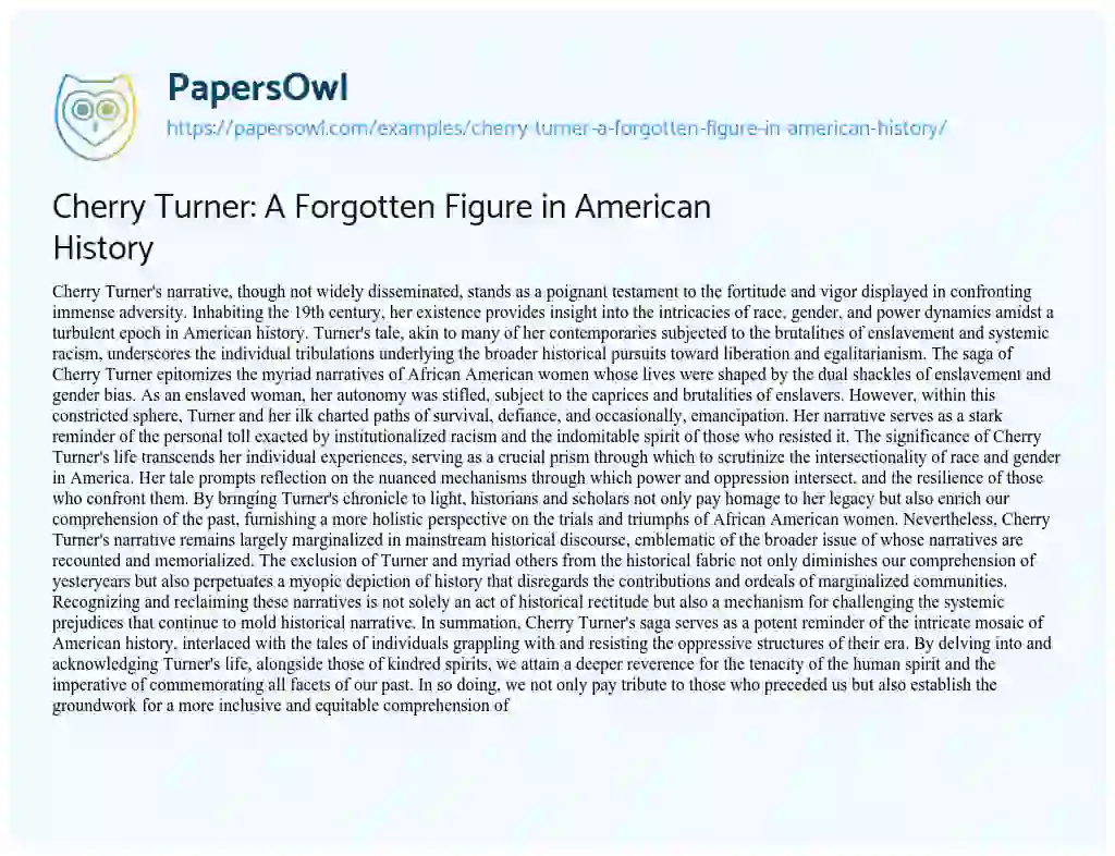 Essay on Cherry Turner: a Forgotten Figure in American History