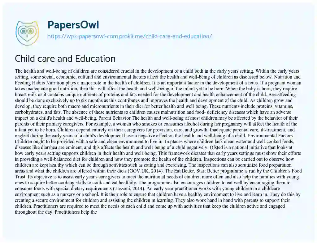 Child Care and Education essay