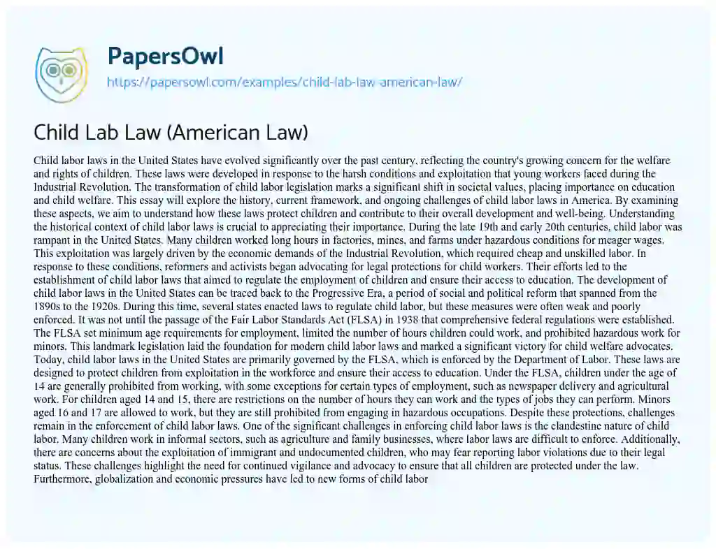Essay on Child Lab Law (American Law)