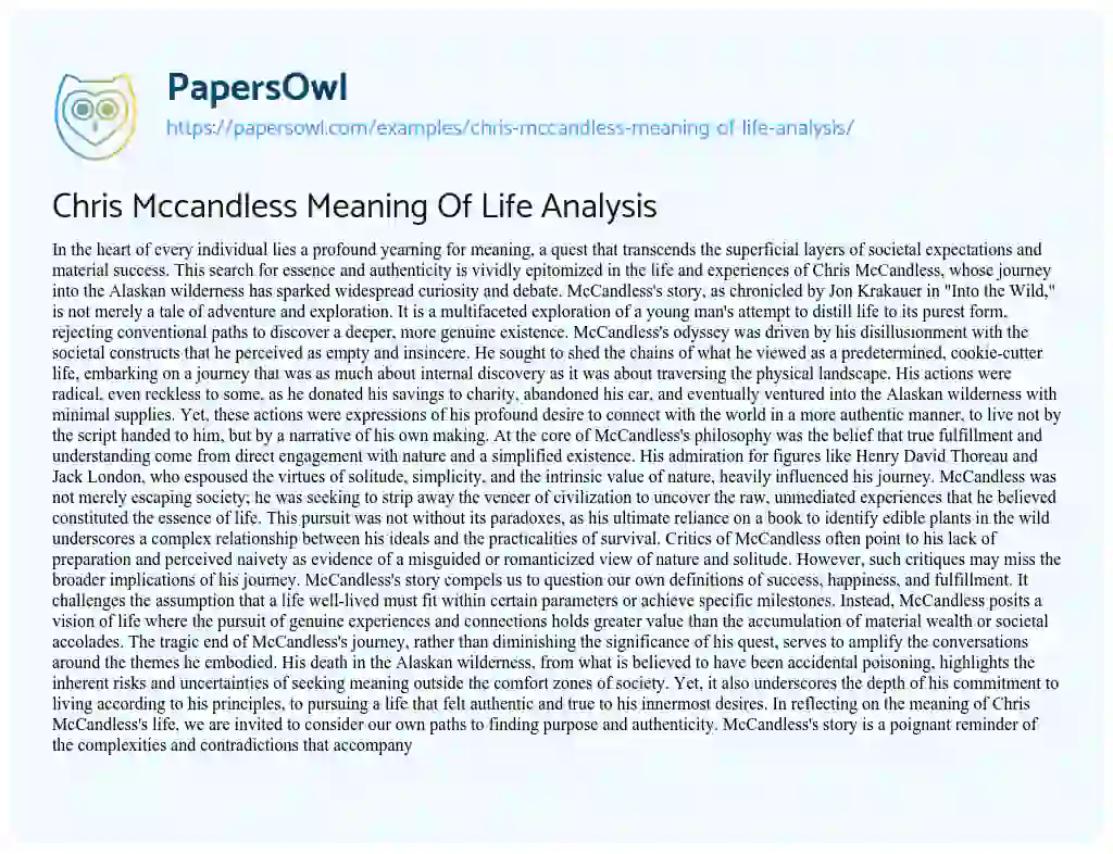 Essay on Chris Mccandless Meaning of Life Analysis