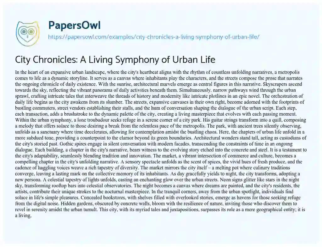 Essay on City Chronicles: a Living Symphony of Urban Life