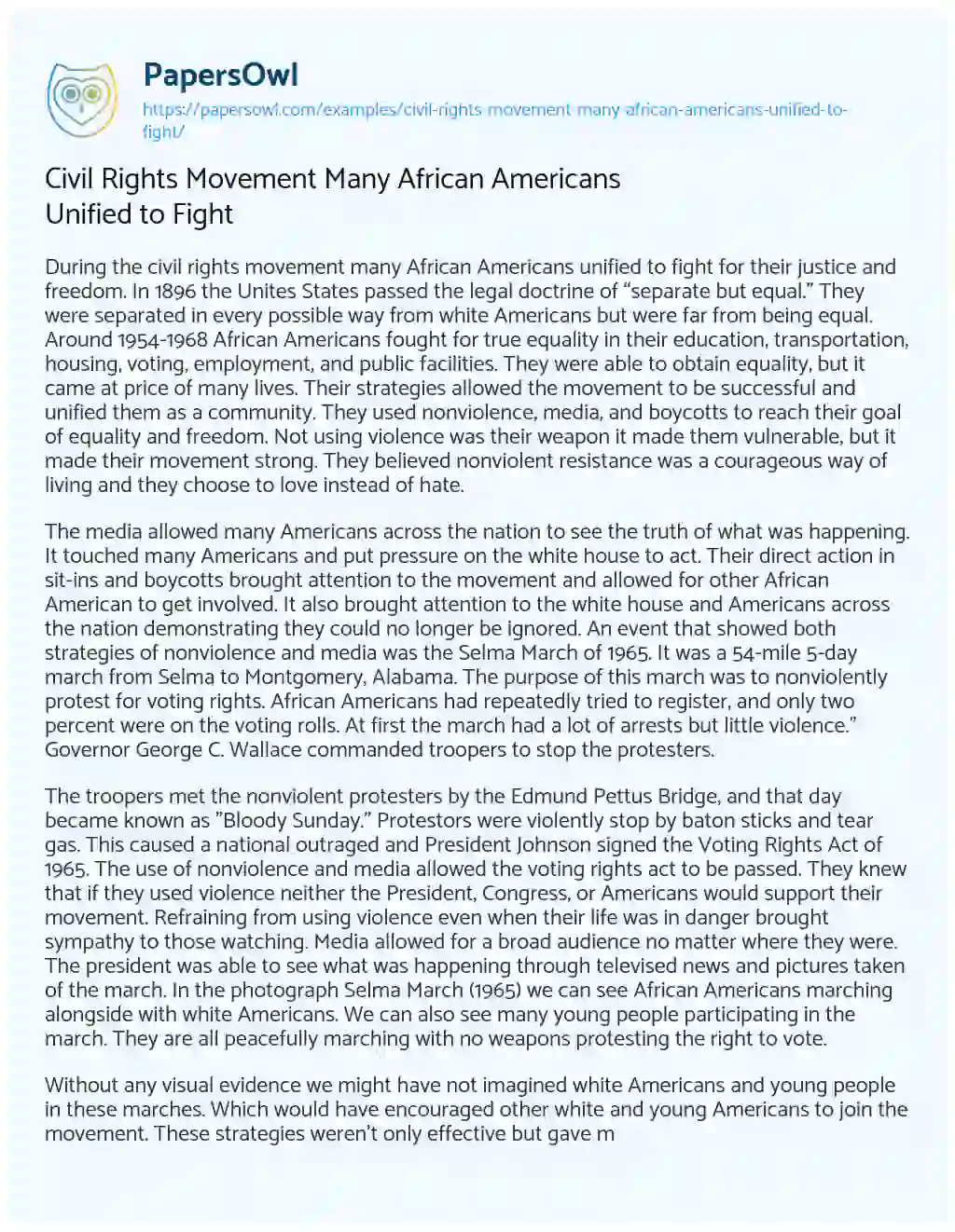 Essay on Civil Rights Movement Many African Americans Unified to Fight