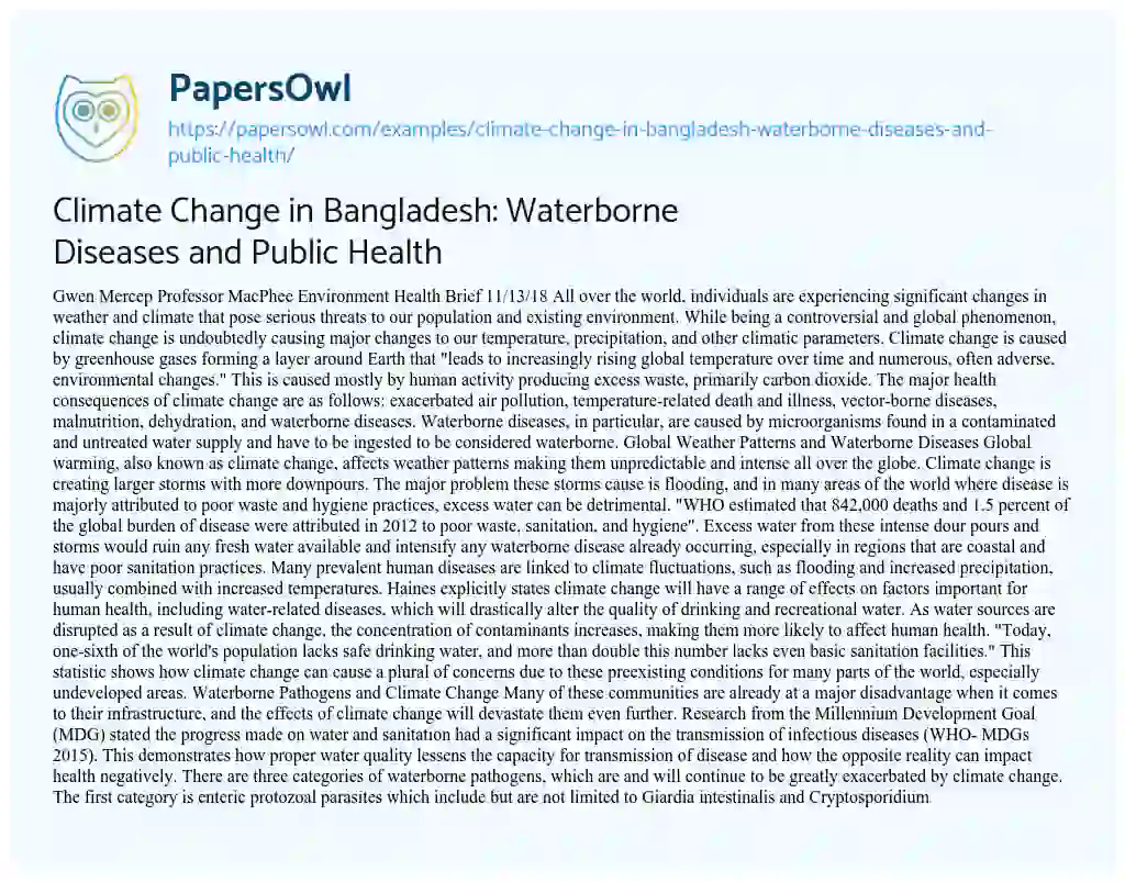 Essay on Climate Change in Bangladesh: Waterborne Diseases and Public Health