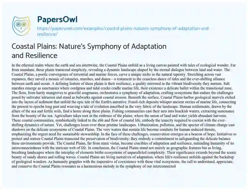 Essay on Coastal Plains: Nature’s Symphony of Adaptation and Resilience