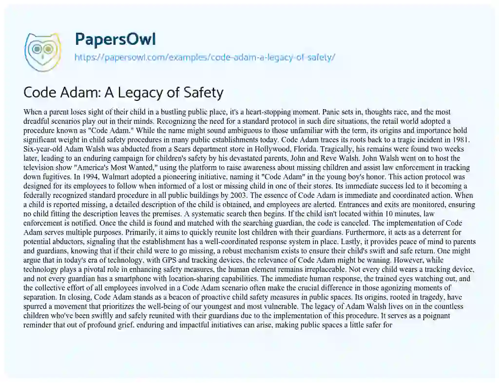 Essay on Code Adam: a Legacy of Safety