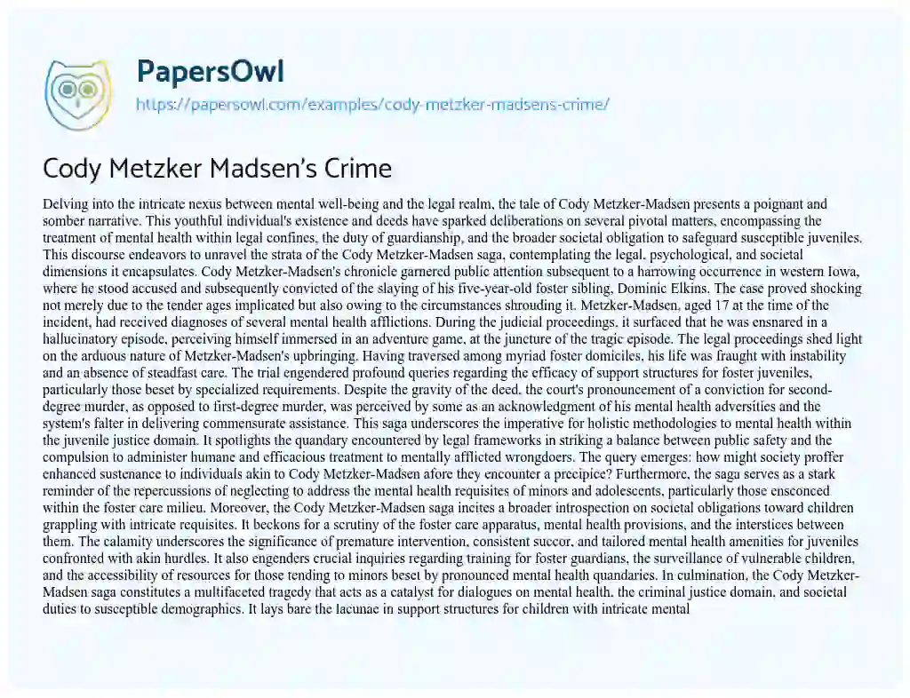 Essay on Cody Metzker Madsen’s Crime