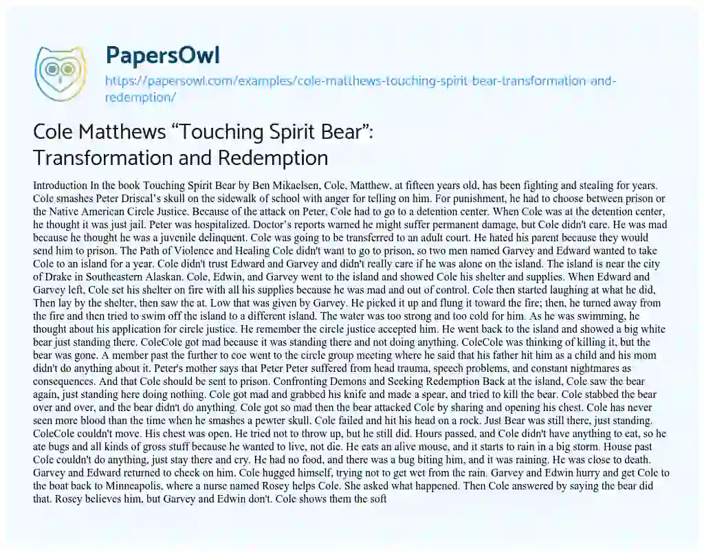 Essay on Cole Matthews “Touching Spirit Bear”: Transformation and Redemption