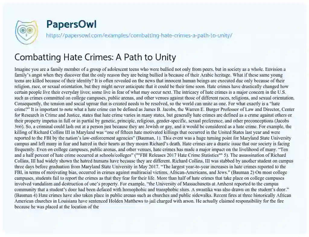 Essay on Combatting Hate Crimes: a Path to Unity