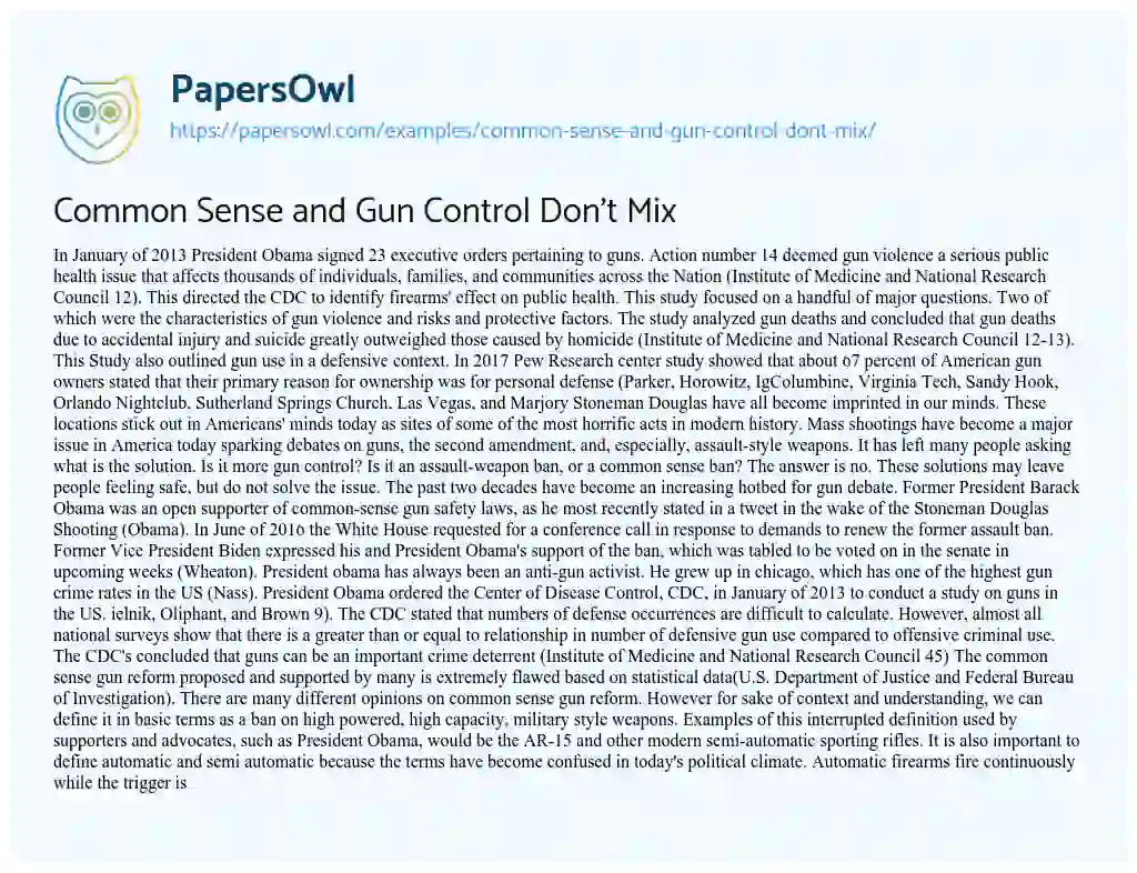Essay on Common Sense and Gun Control don’t Mix