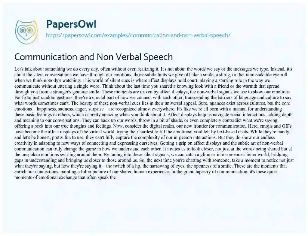 Essay on Communication and Non Verbal Speech
