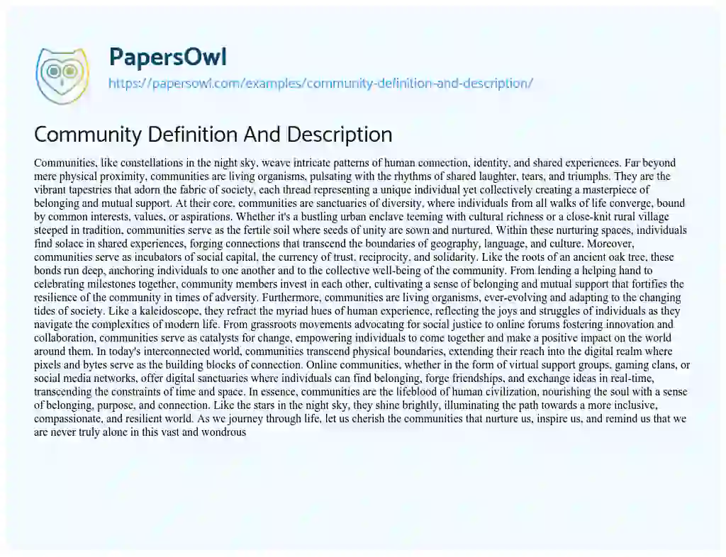 Essay on Community Definition and Description
