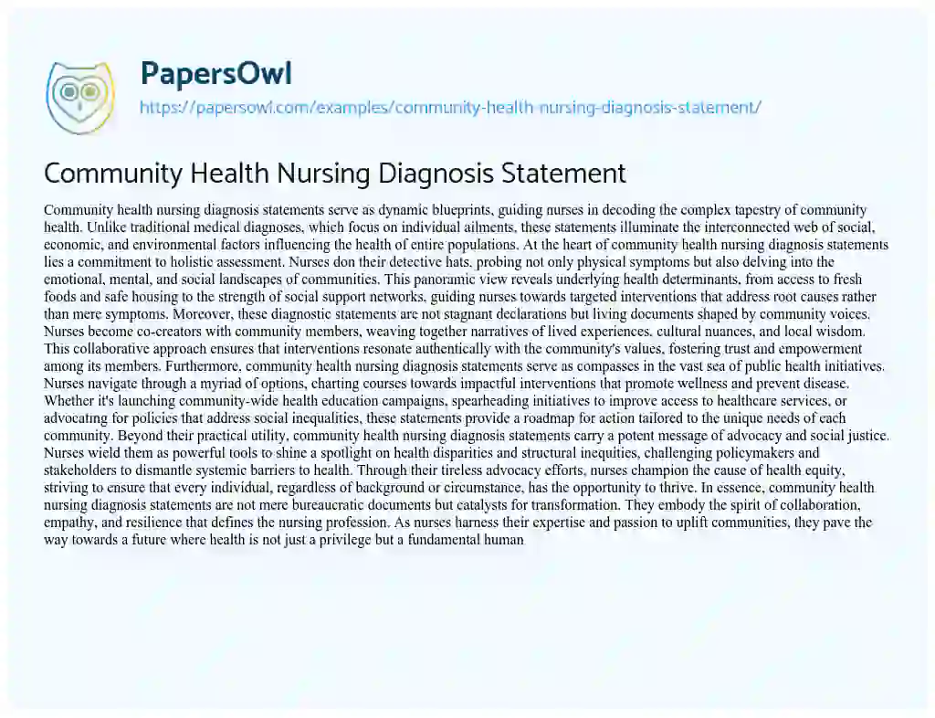 Essay on Community Health Nursing Diagnosis Statement