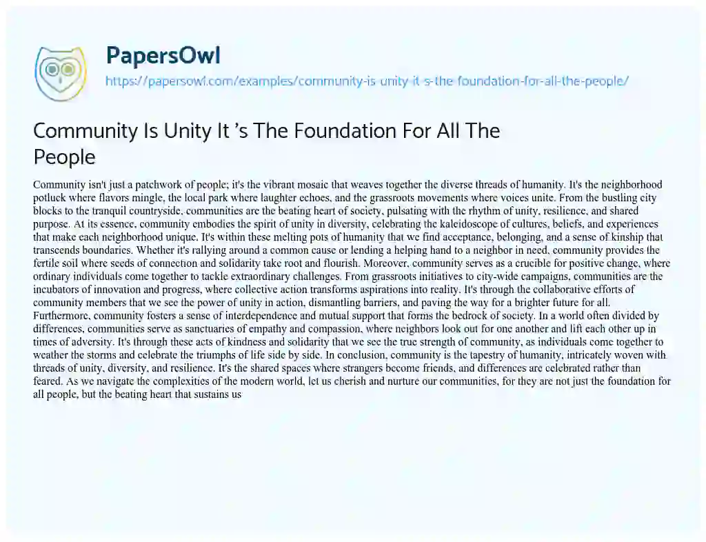 Essay on Community is Unity it ‘s the Foundation for all the People