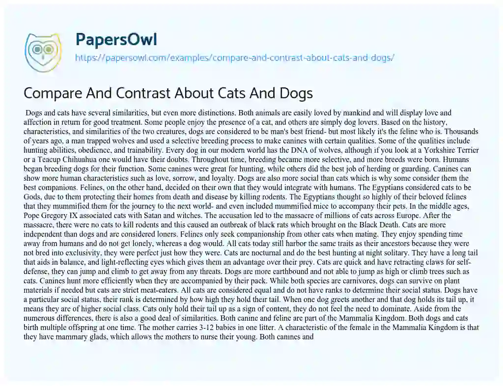Compare and Contrast about Cats and Dogs essay
