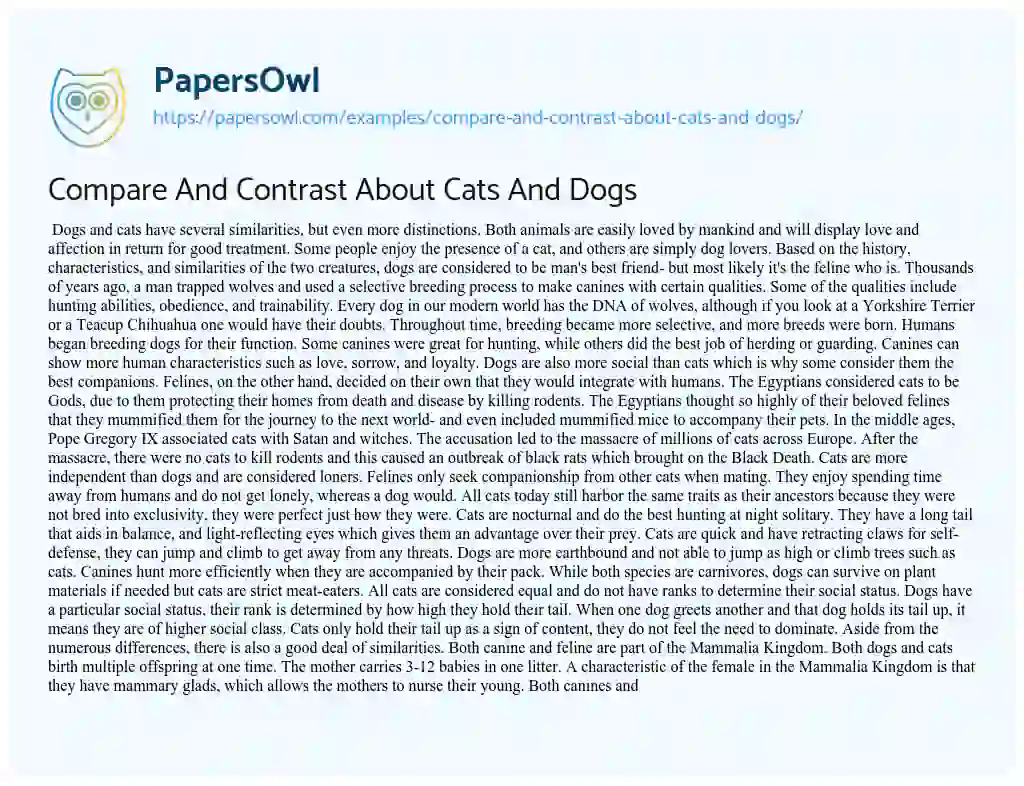 compare contrast essay about cats and dogs