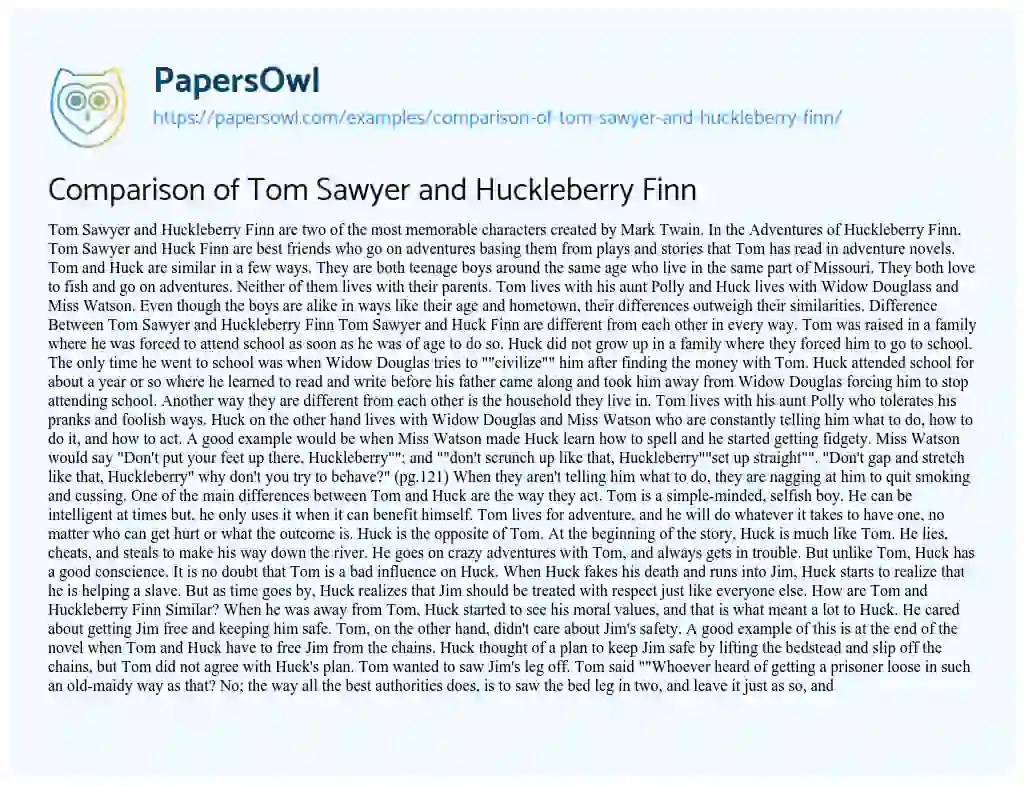 Comparison of Tom Sawyer and Huckleberry Finn essay