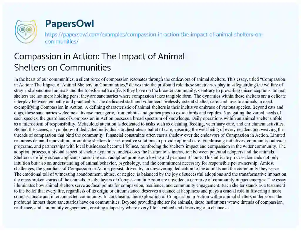 Essay on Compassion in Action: the Impact of Animal Shelters on Communities