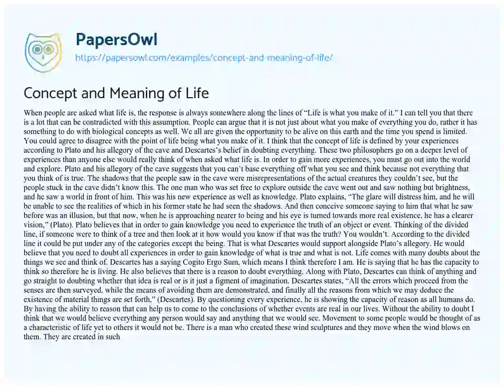 descriptive essay about meaning of life