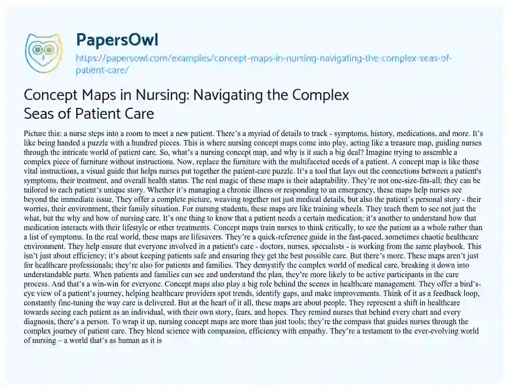 Essay on Concept Maps in Nursing: Navigating the Complex Seas of Patient Care