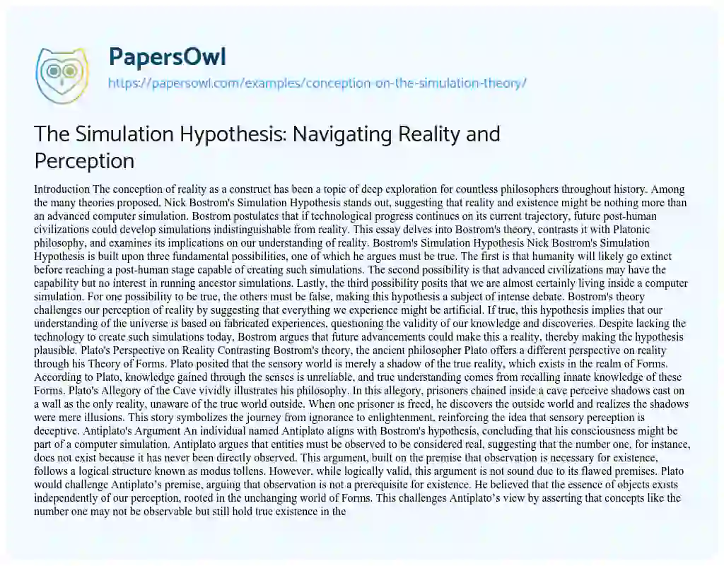 Essay on The Simulation Hypothesis: Navigating Reality and Perception