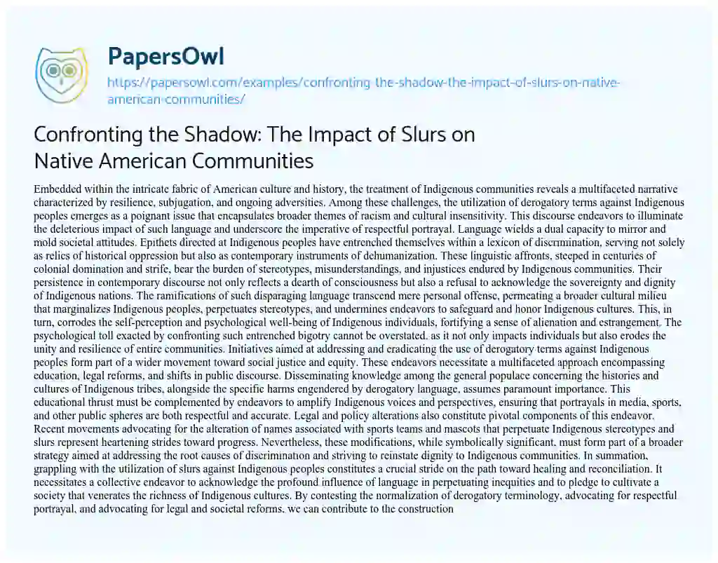 Essay on Confronting the Shadow: the Impact of Slurs on Native American Communities