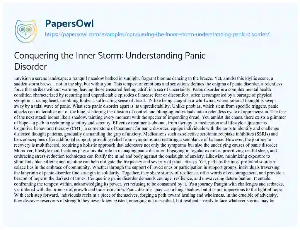 Essay on Conquering the Inner Storm: Understanding Panic Disorder