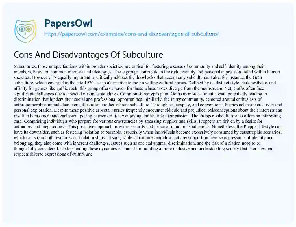 Essay on Cons and Disadvantages of Subculture