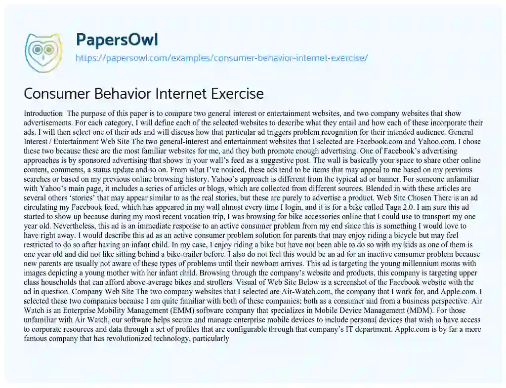 Essay on Consumer Behavior Internet Exercise