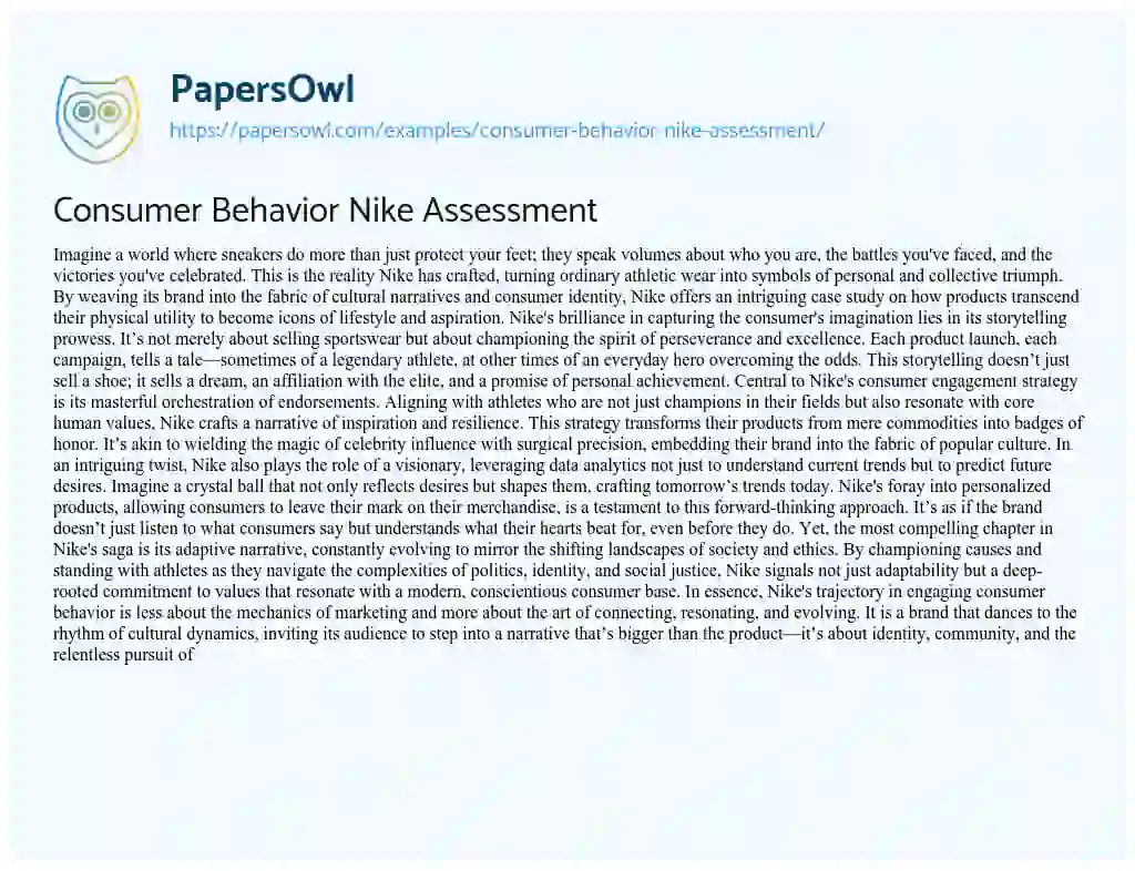 Essay on Consumer Behavior Nike Assessment
