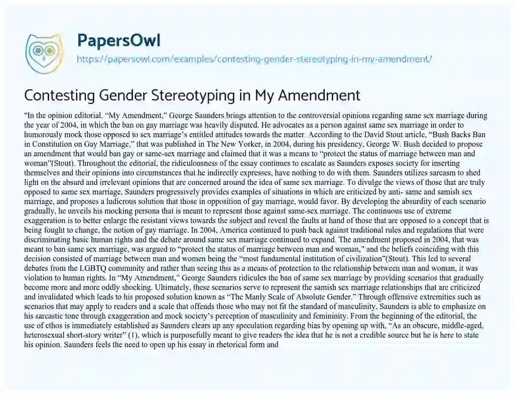 Essay on Contesting Gender Stereotyping in my Amendment