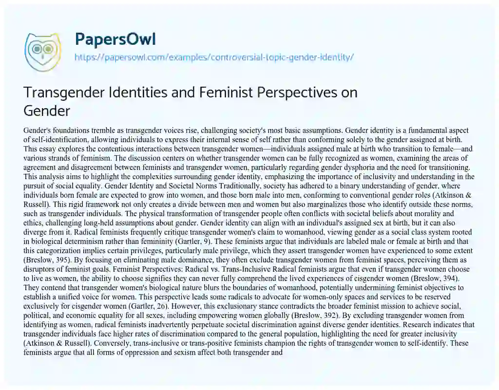 Essay on Controversial Topic : Gender Identity