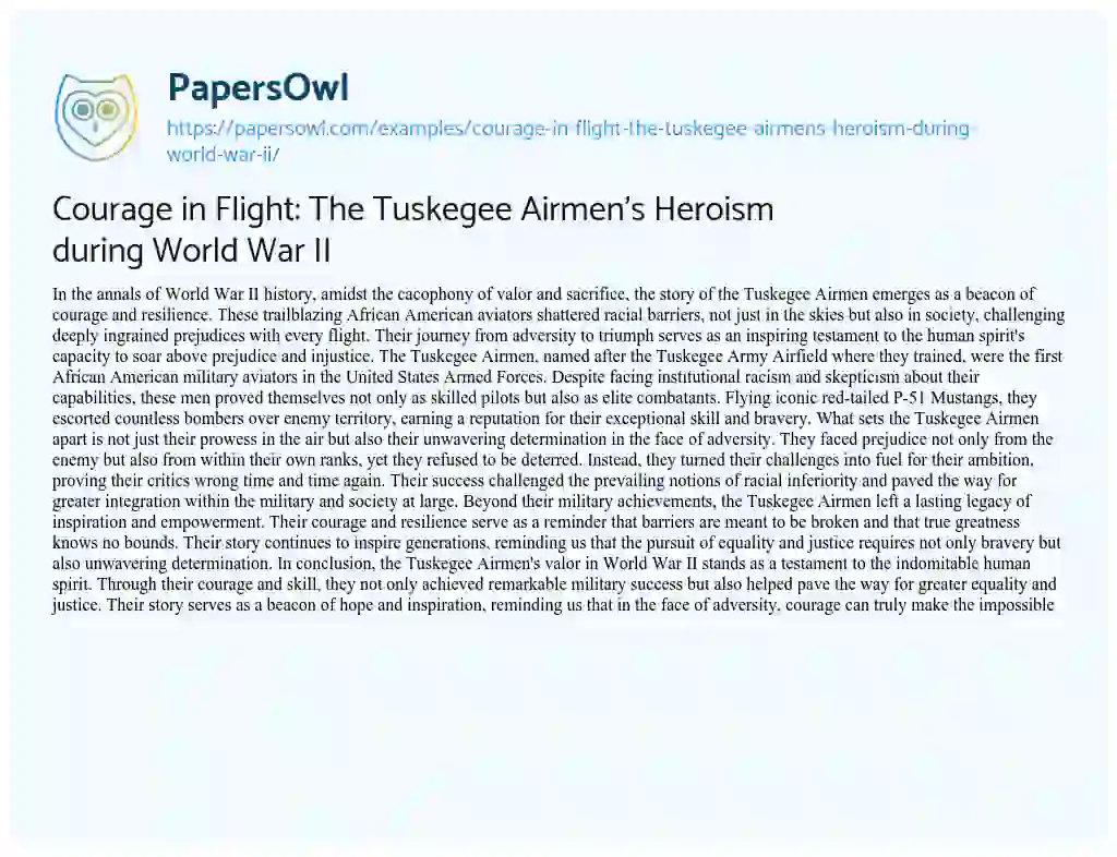Essay on Courage in Flight: the Tuskegee Airmen’s Heroism during World War II