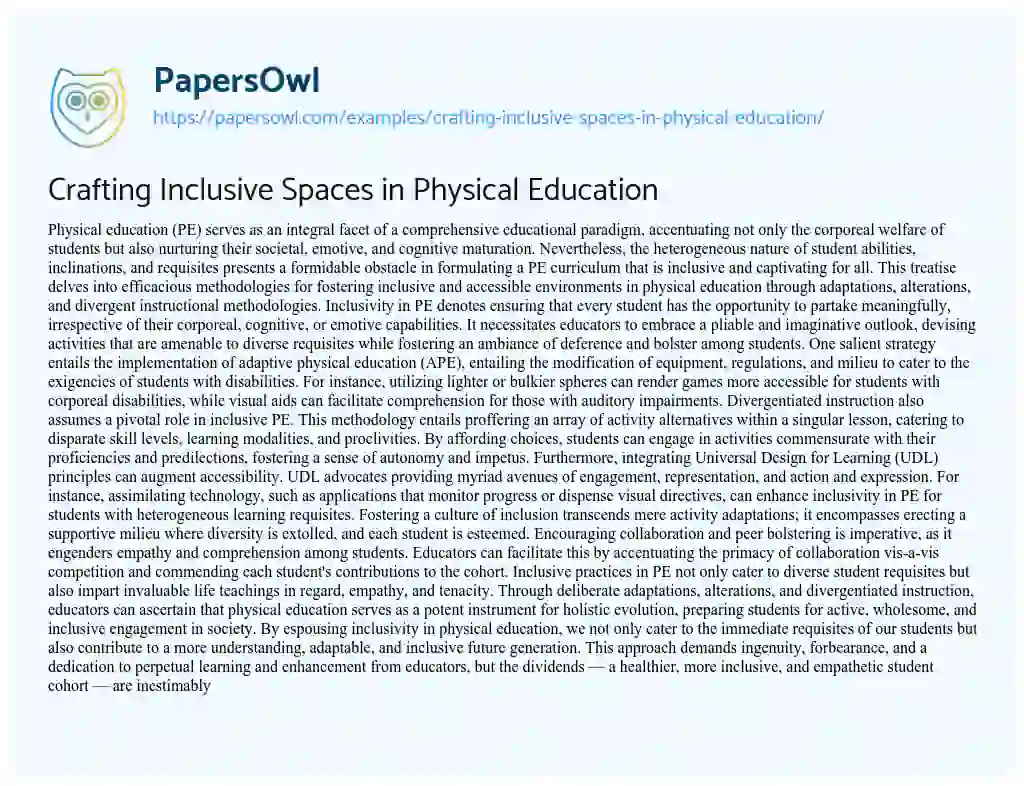 Essay on Crafting Inclusive Spaces in Physical Education