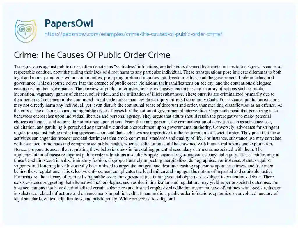 Essay on Crime: the Causes of Public Order Crime