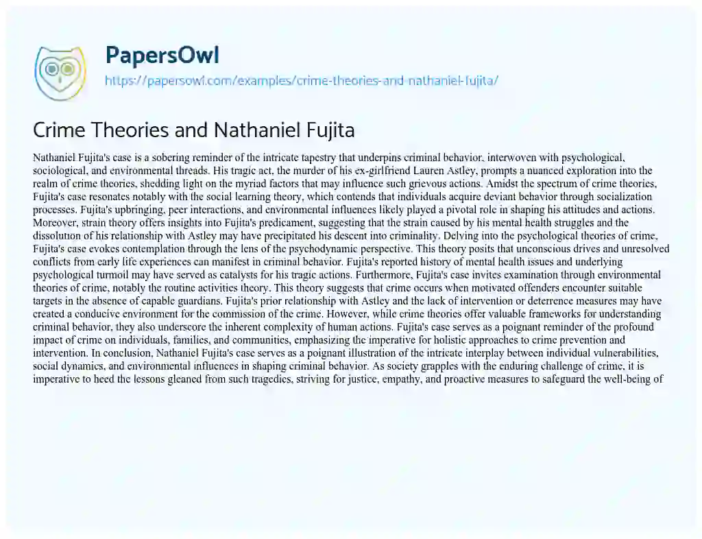 Essay on Crime Theories and Nathaniel Fujita