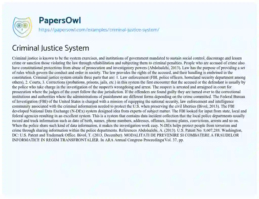 Criminal Justice System essay