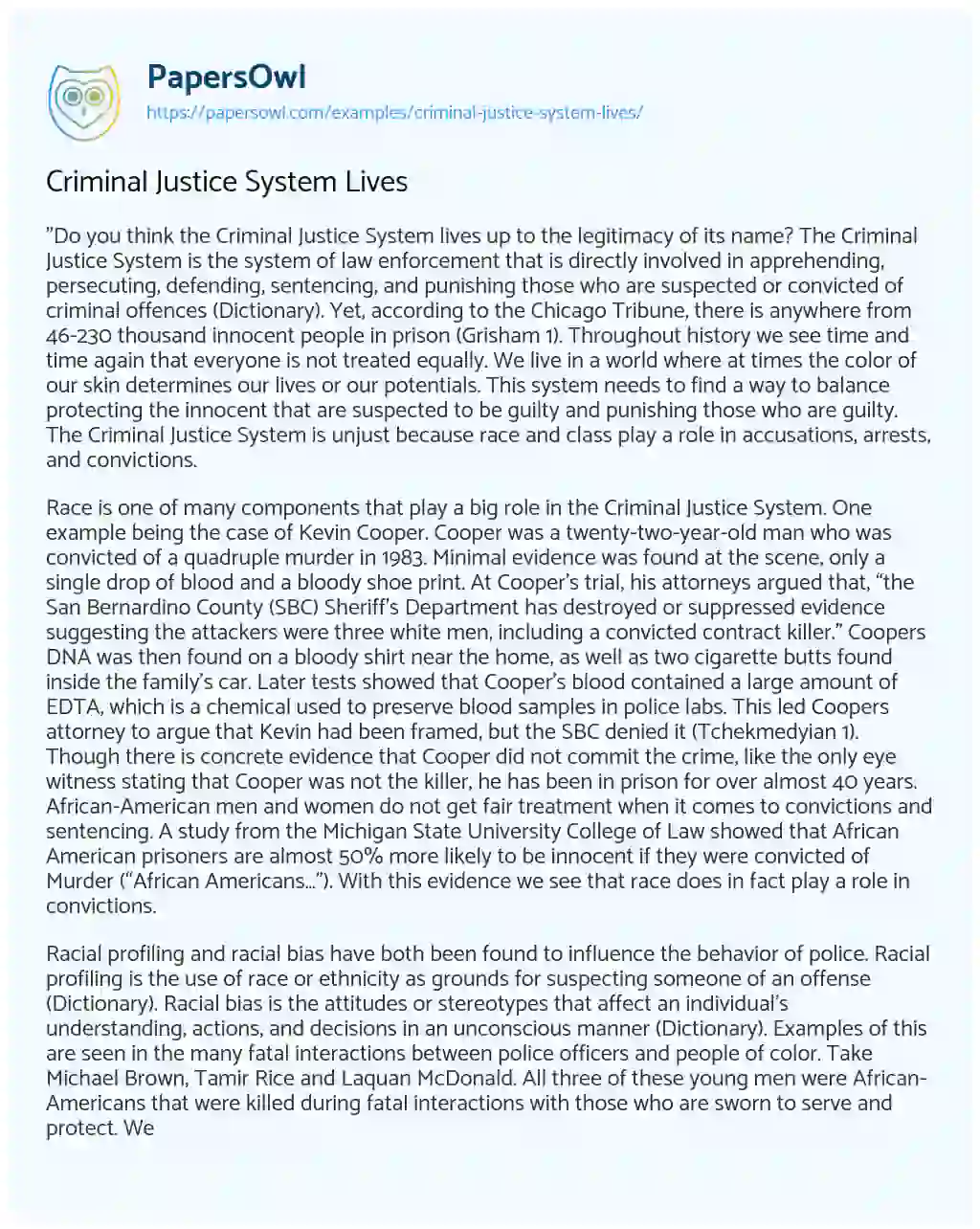 Criminal Justice System Lives essay