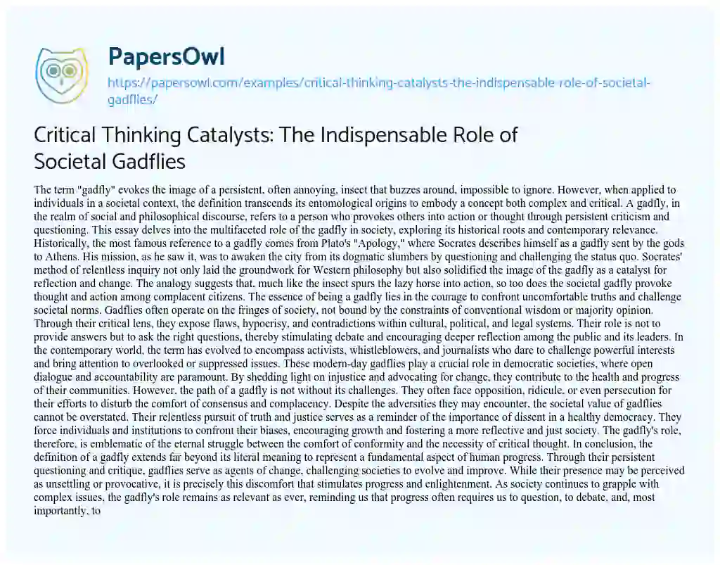 Essay on Critical Thinking Catalysts: the Indispensable Role of Societal Gadflies