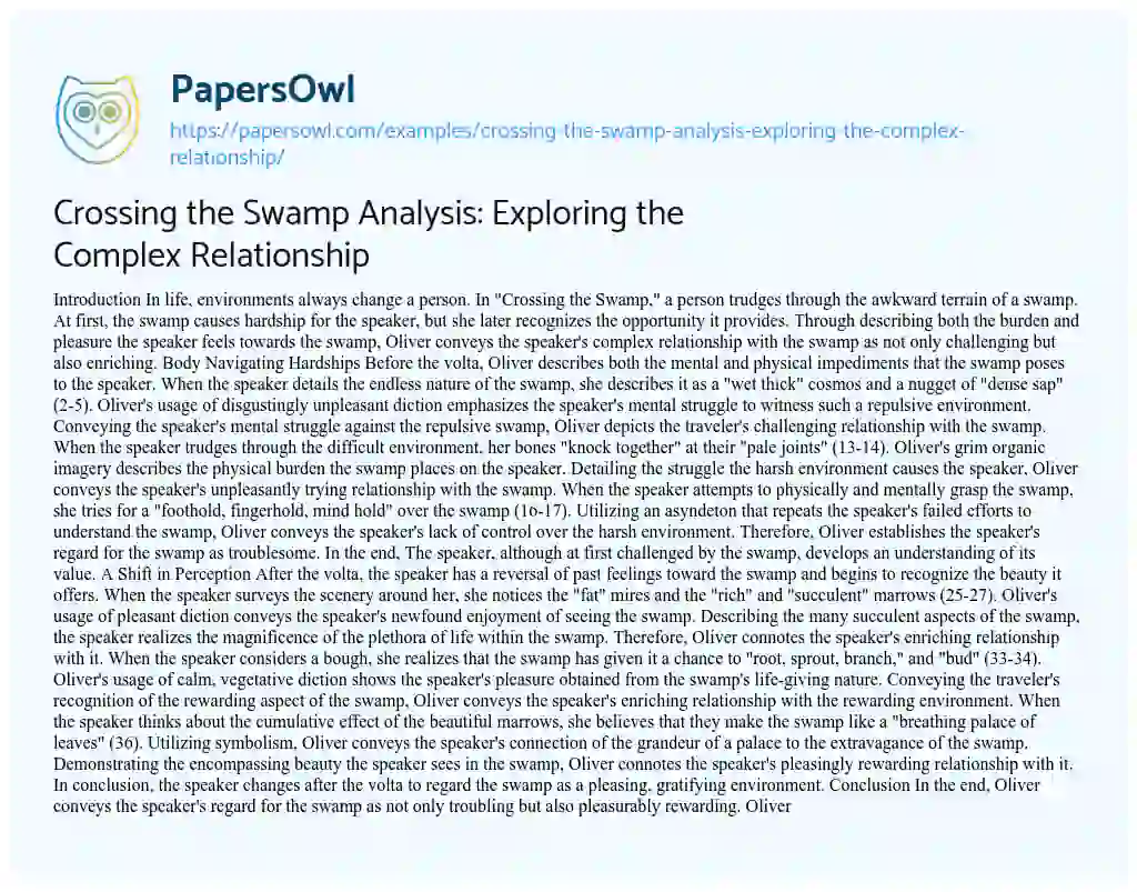 Essay on Crossing the Swamp Analysis: Exploring the Complex Relationship