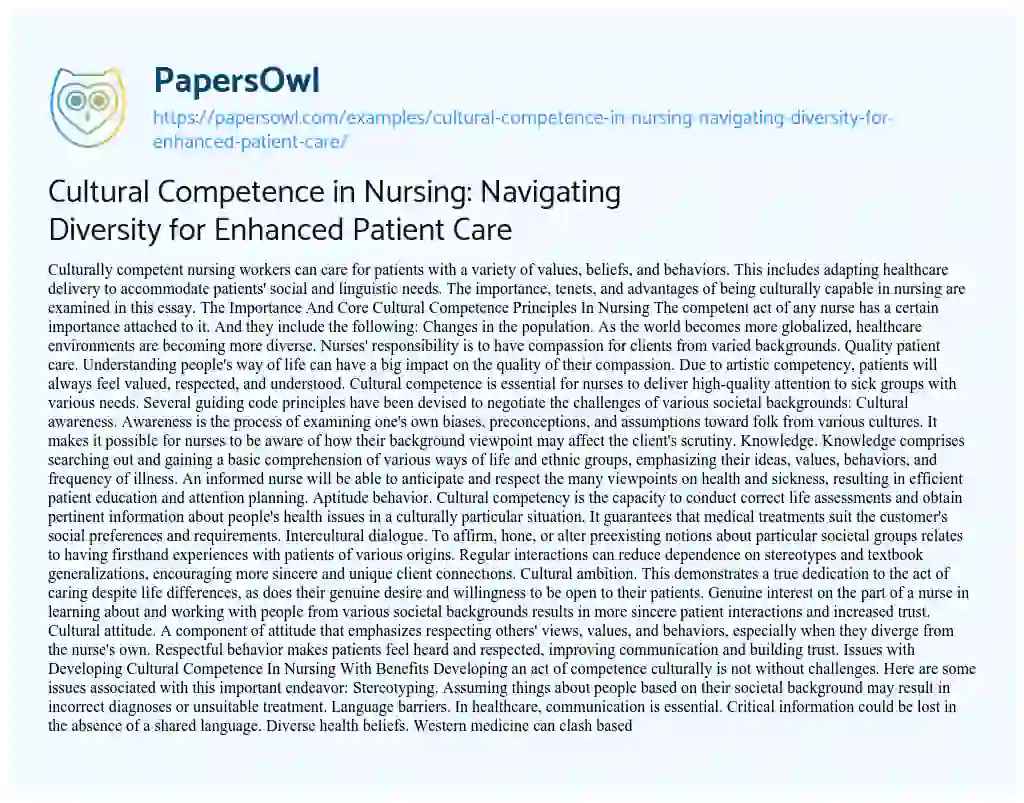 Essay on Cultural Competence in Nursing: Navigating Diversity for Enhanced Patient Care