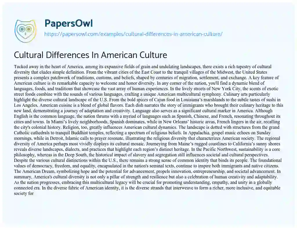 Essay on Cultural Differences in American Culture